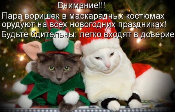 А Вы их знаете?