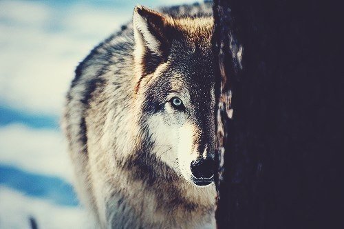 Никто не знает что у меня в голове, но каждый думает, что понимает меня.