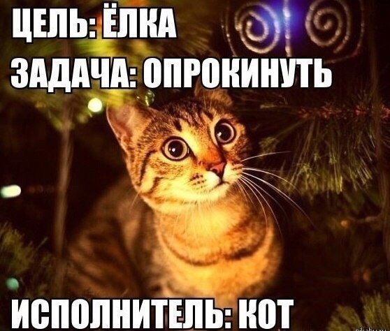 Их нужно звать на помощь к новому году