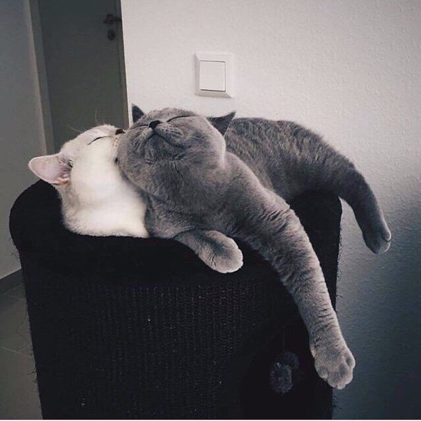 Любовь есть! ❤