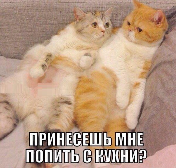 Зачем нужен муж. :)