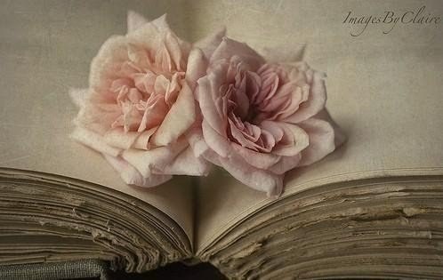Человек - лучшая книга. Сюжет постоянно меняется, а концовка неизвестна даже автору.