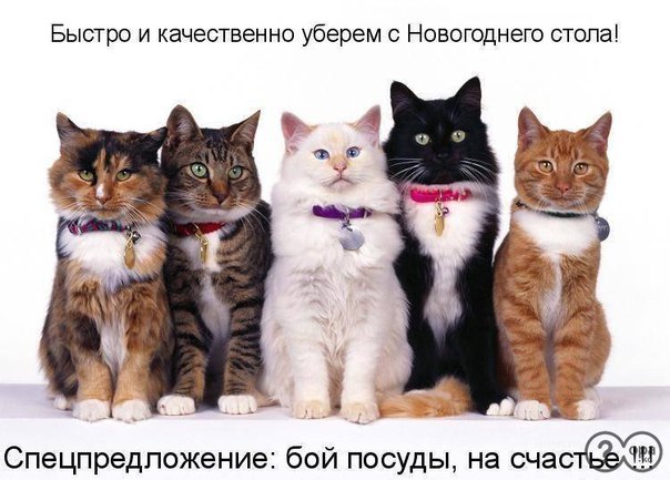 Их нужно звать на помощь к новому году